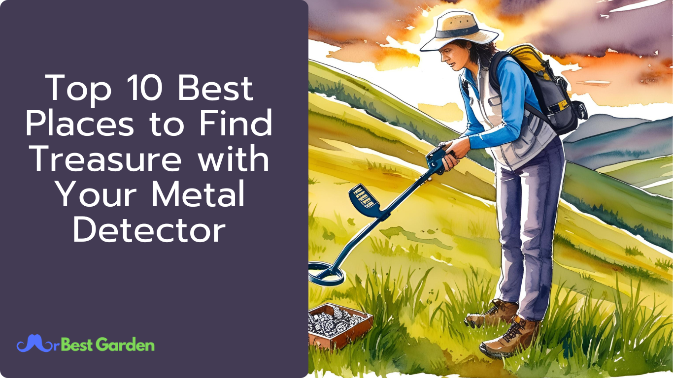 metal detector metal detector
